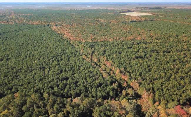 467AC Baum Road, Virginia Beach, VA 23457