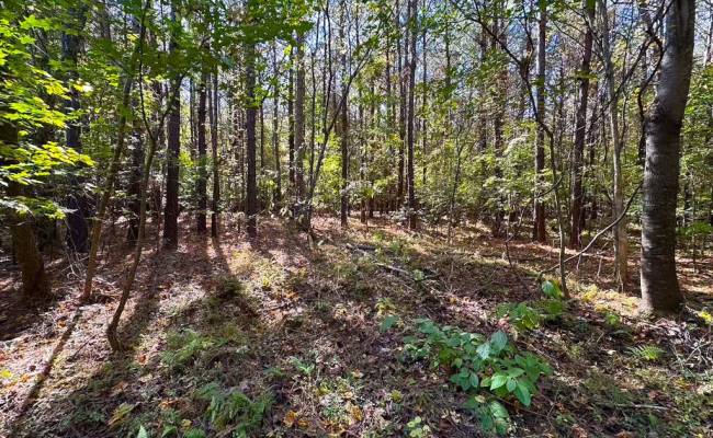 467AC Baum Road, Virginia Beach, VA 23457