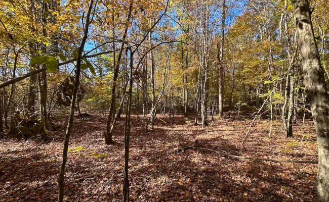 467AC Baum Road, Virginia Beach, VA 23457