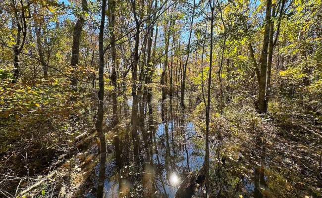 467AC Baum Road, Virginia Beach, VA 23457