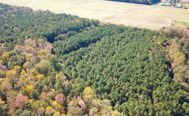 467AC Baum Road, Virginia Beach, VA 23457