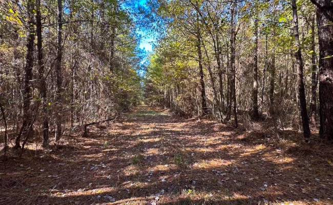 467AC Baum Road, Virginia Beach, VA 23457