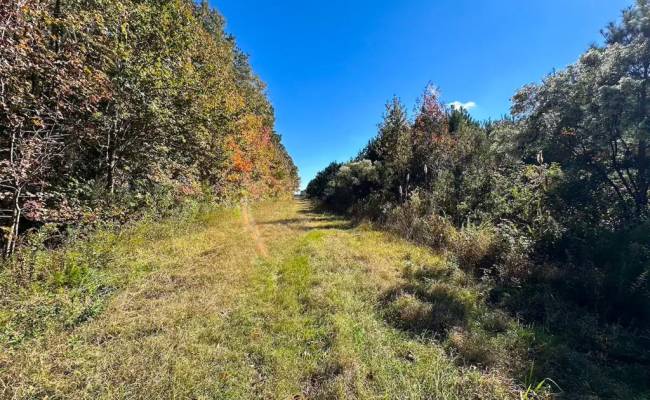 467AC Baum Road, Virginia Beach, VA 23457