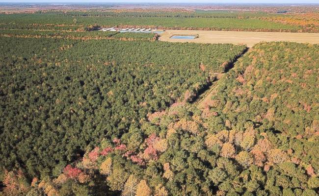 467AC Baum Road, Virginia Beach, VA 23457