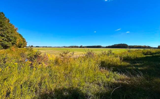 467AC Baum Road, Virginia Beach, VA 23457