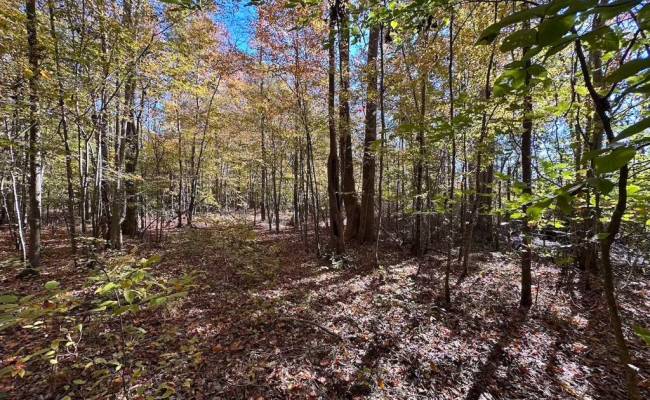 467AC Baum Road, Virginia Beach, VA 23457