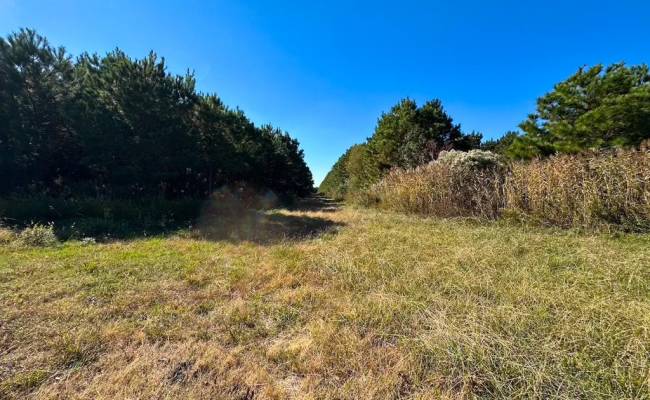 467AC Baum Road, Virginia Beach, VA 23457