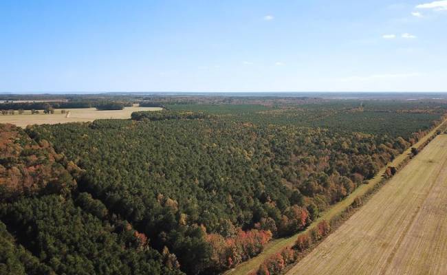 467AC Baum Road, Virginia Beach, VA 23457