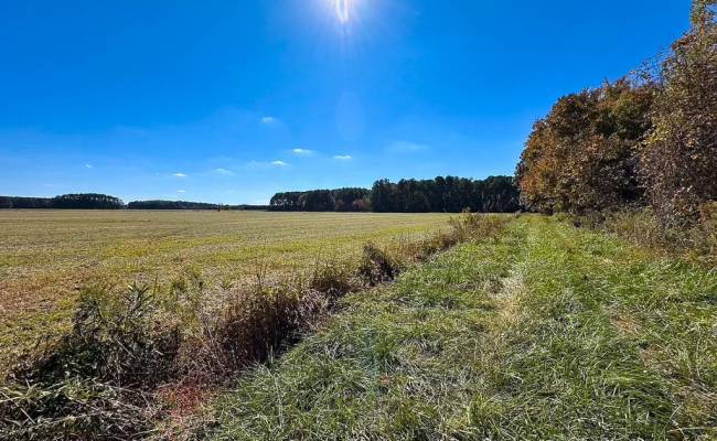 467AC Baum Road, Virginia Beach, VA 23457