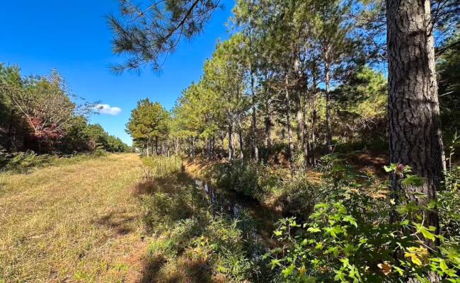 467AC Baum Road, Virginia Beach, VA 23457