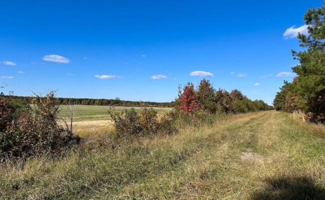 467AC Baum Road, Virginia Beach, VA 23457