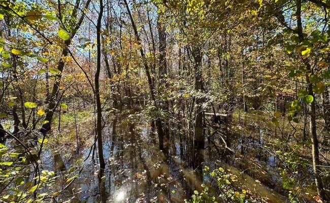 467AC Baum Road, Virginia Beach, VA 23457