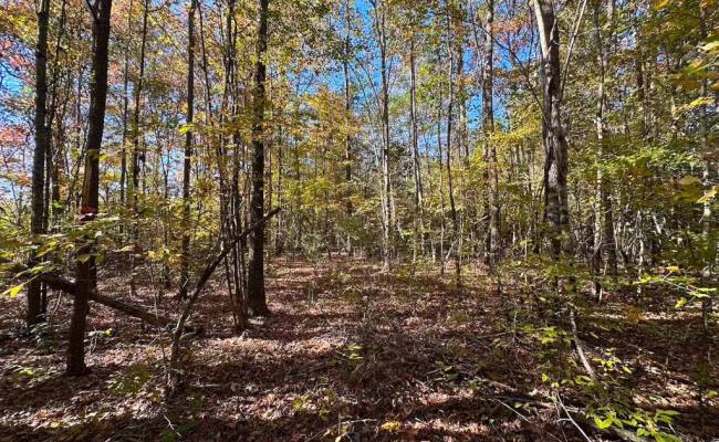 467AC Baum Road, Virginia Beach, VA 23457