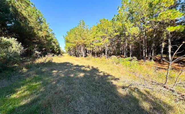 467AC Baum Road, Virginia Beach, VA 23457