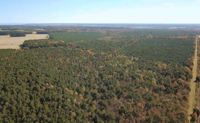 467AC Baum Road, Virginia Beach, VA 23457