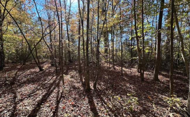 467AC Baum Road, Virginia Beach, VA 23457