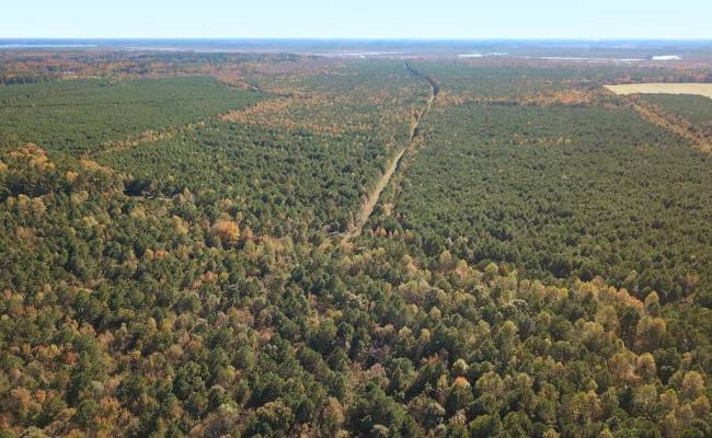 467AC Baum Road, Virginia Beach, VA 23457