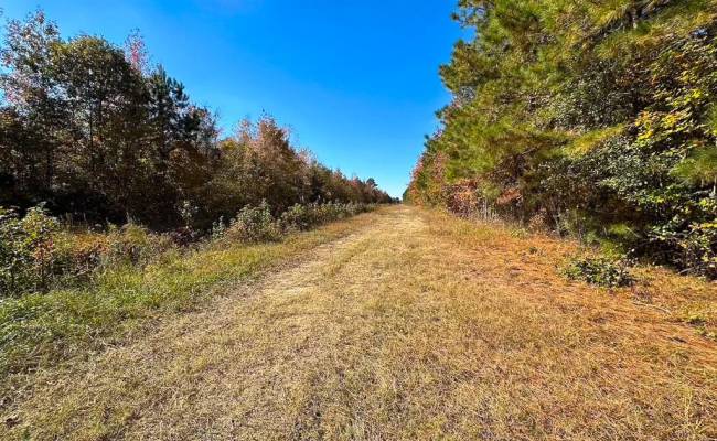 467AC Baum Road, Virginia Beach, VA 23457