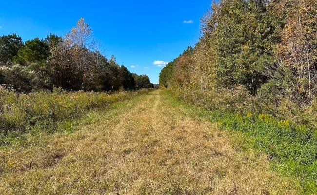 467AC Baum Road, Virginia Beach, VA 23457