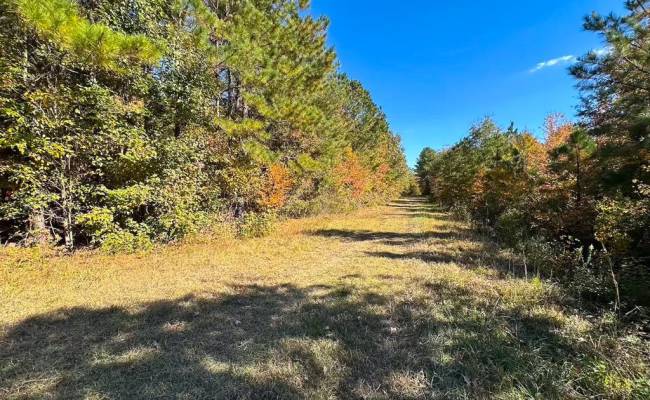 467AC Baum Road, Virginia Beach, VA 23457