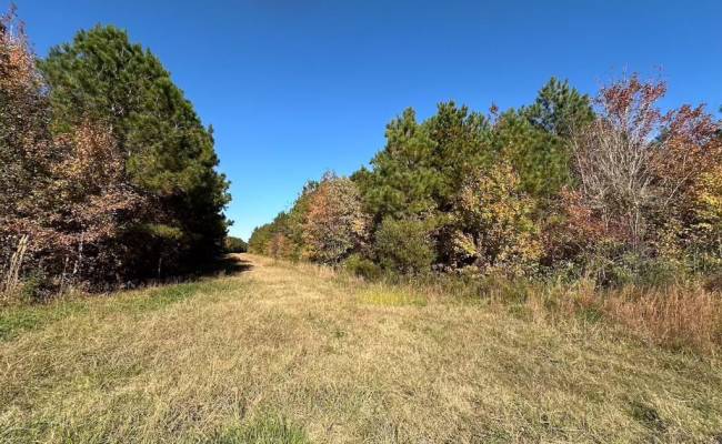 467AC Baum Road, Virginia Beach, VA 23457