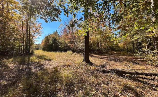 467AC Baum Road, Virginia Beach, VA 23457