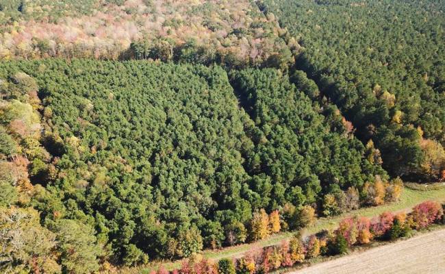 467AC Baum Road, Virginia Beach, VA 23457