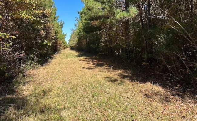 467AC Baum Road, Virginia Beach, VA 23457