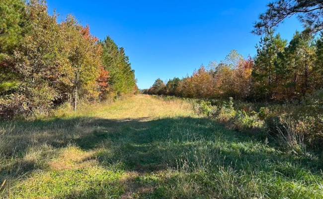 467AC Baum Road, Virginia Beach, VA 23457