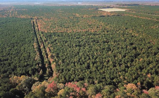 467AC Baum Road, Virginia Beach, VA 23457