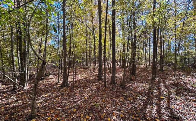 467AC Baum Road, Virginia Beach, VA 23457