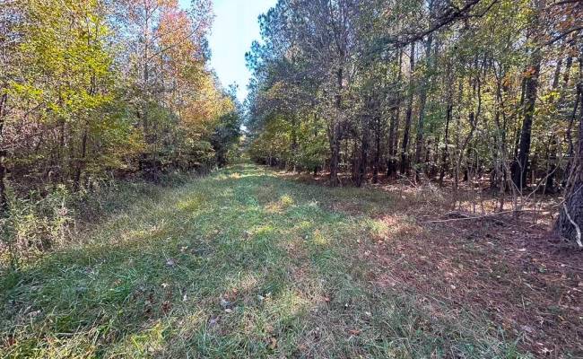 467AC Baum Road, Virginia Beach, VA 23457