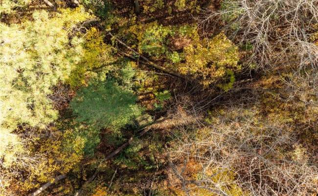 2.7ac Twilight Street, Sussex County, VA 23888