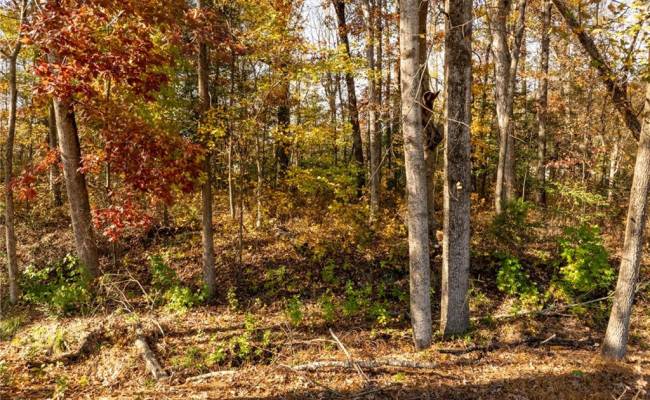 2.7ac Twilight Street, Sussex County, VA 23888