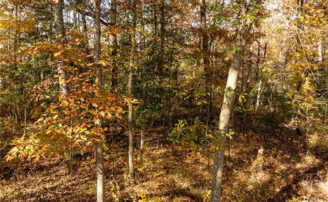 2.7ac Twilight Street, Sussex County, VA 23888