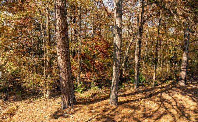 2.7ac Twilight Street, Sussex County, VA 23888