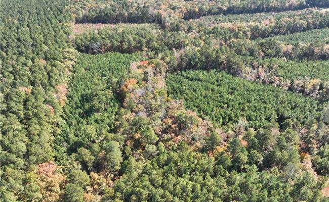 955 Manning Drive, Brunswick County, VA 23887