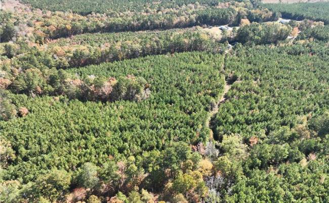 955 Manning Drive, Brunswick County, VA 23887