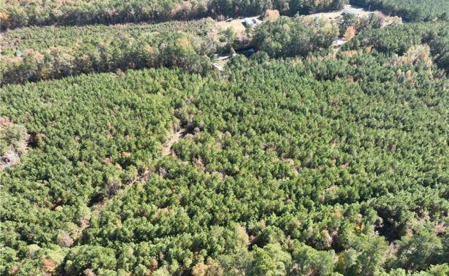 955 Manning Drive, Brunswick County, VA 23887