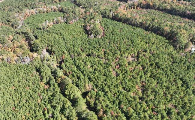 955 Manning Drive, Brunswick County, VA 23887