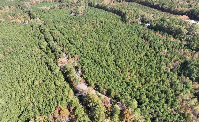 955 Manning Drive, Brunswick County, VA 23887