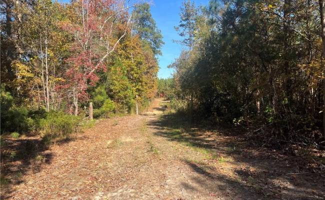 955 Manning Drive, Brunswick County, VA 23887