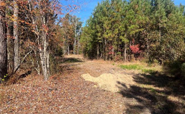 955 Manning Drive, Brunswick County, VA 23887