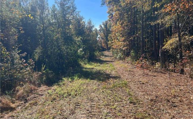 955 Manning Drive, Brunswick County, VA 23887