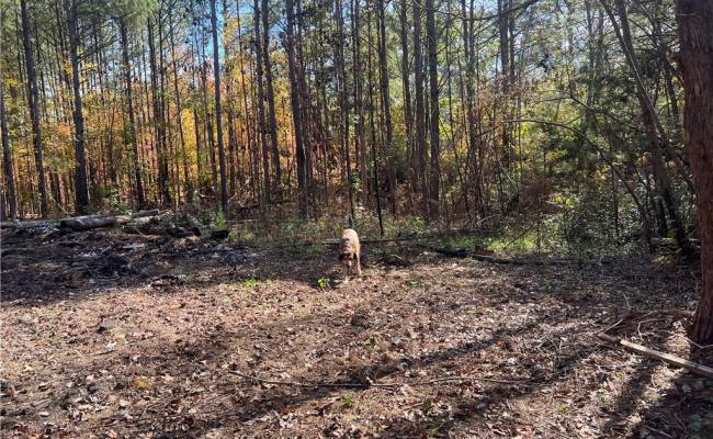 955 Manning Drive, Brunswick County, VA 23887