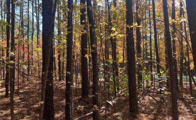 955 Manning Drive, Brunswick County, VA 23887