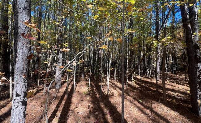 955 Manning Drive, Brunswick County, VA 23887