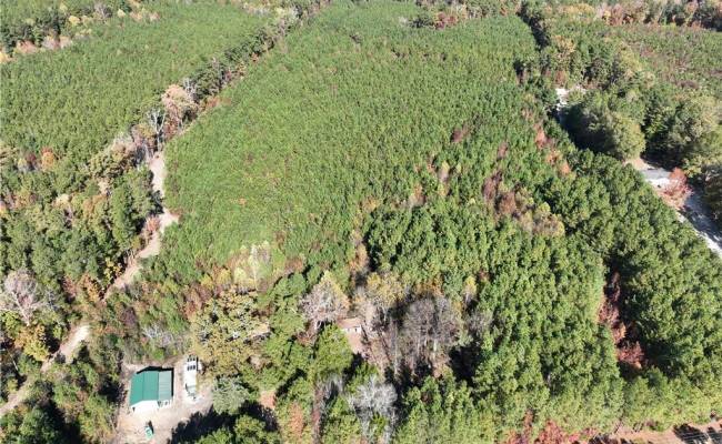 955 Manning Drive, Brunswick County, VA 23887