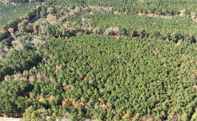 955 Manning Drive, Brunswick County, VA 23887