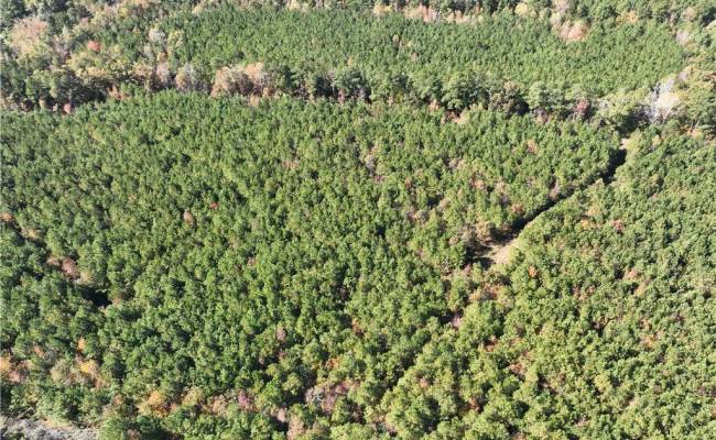 955 Manning Drive, Brunswick County, VA 23887